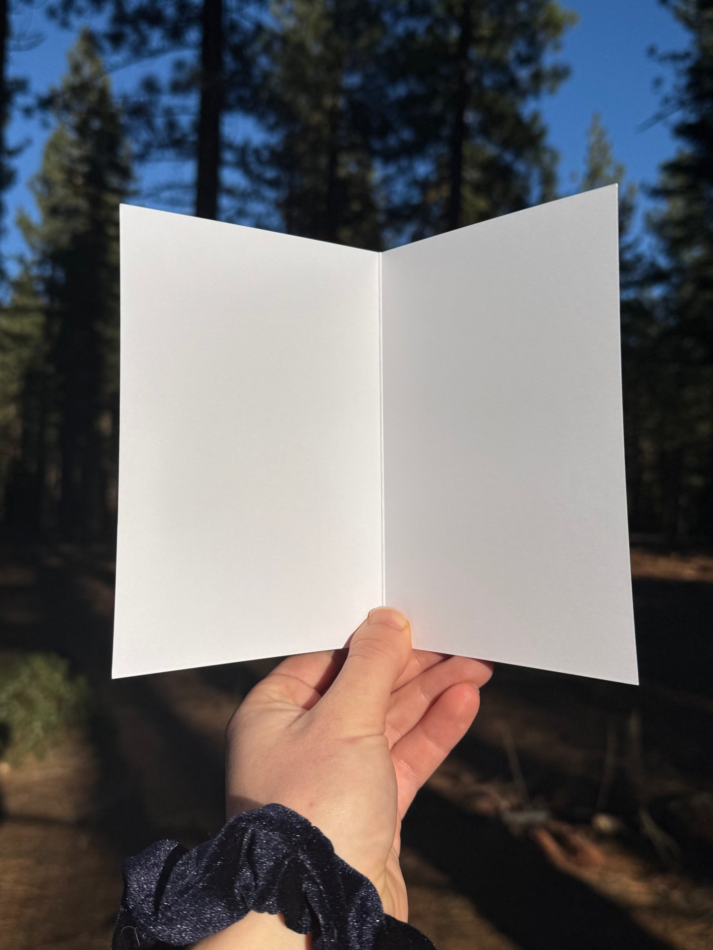 Happy F*ing Holidays - Greeting Card