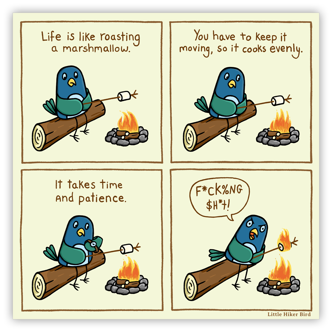 Marshmallow Roasting Comic - 5" Magnet