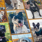 6 Custom Photo Magnets