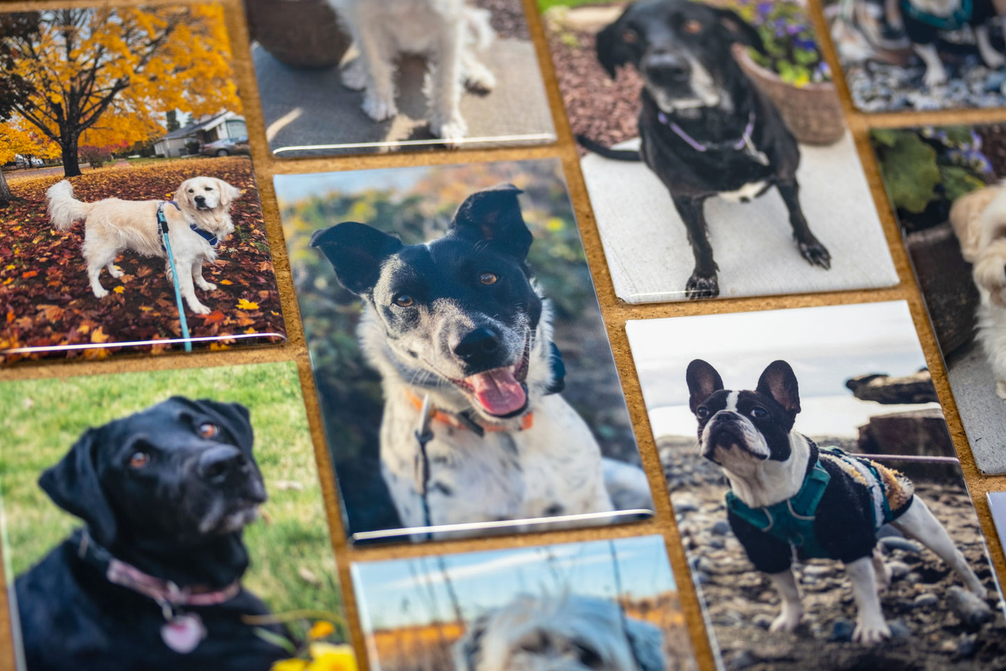 6 Custom Photo Magnets