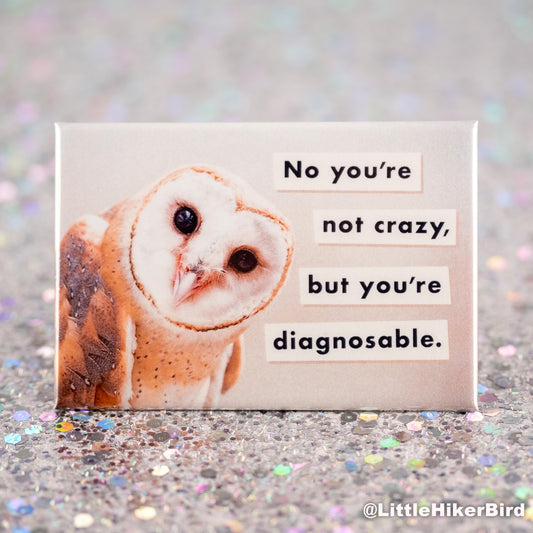 You're Not Crazy Owl Fridge Magnet