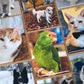 6 Custom Photo Magnets