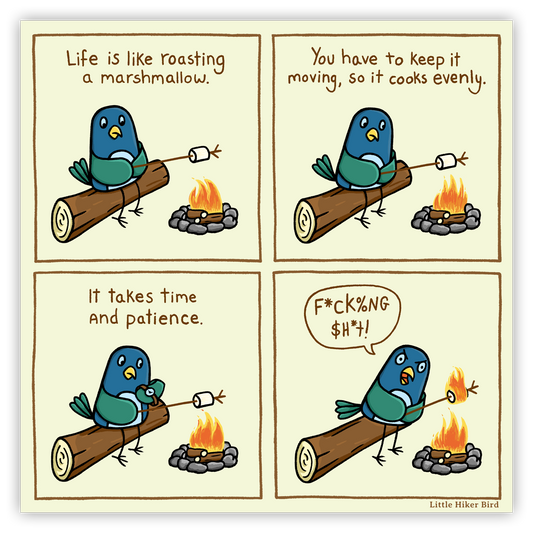 Marshmallow Roasting Comic - 5" Magnet